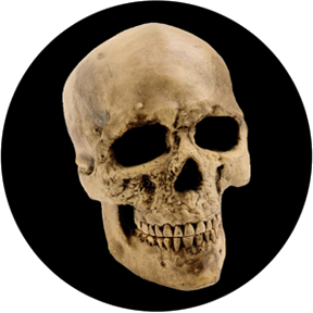 An image of Yorick Skull Glass Gobo 86687