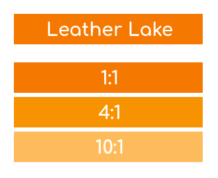 Rosco Supersaturated Paint Leather Lake