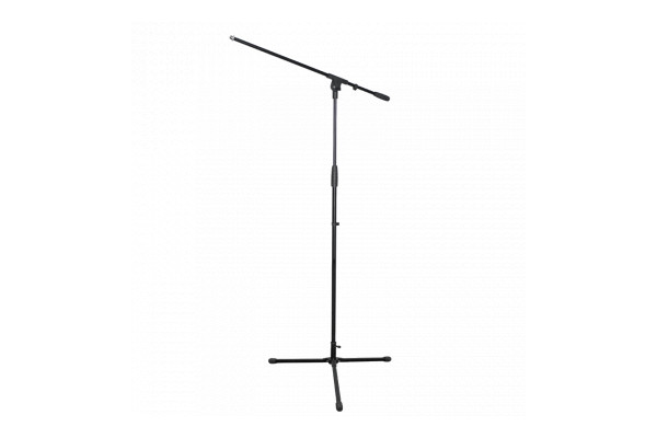 W AUDIO Microphone Stand With Boom