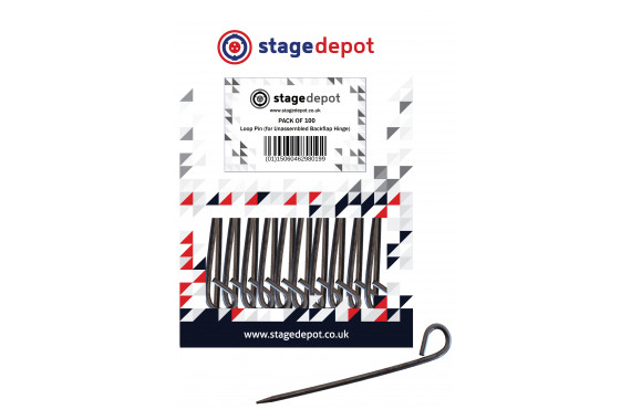 An Image of the 100 pack of loop pins