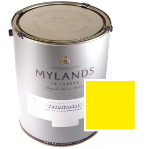 Mylands CSO Yellow Paint 2.5L