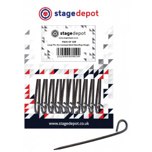 An Image of the 100 pack of loop pins